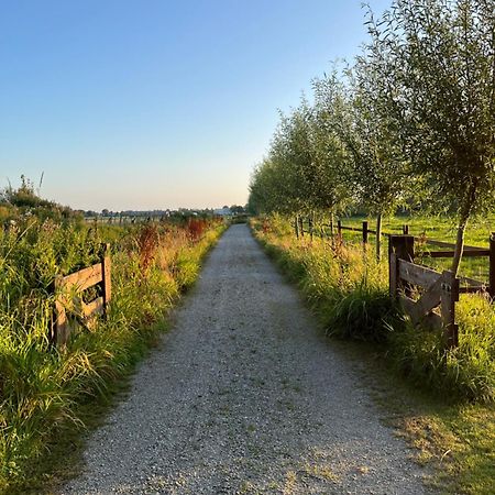 Zwaanshoek Fields 1216 B&B 외부 사진
