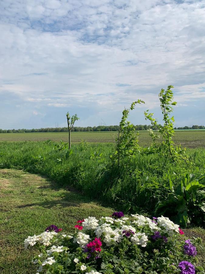 Zwaanshoek Fields 1216 B&B 외부 사진