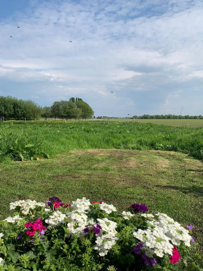 Zwaanshoek Fields 1216 B&B 외부 사진
