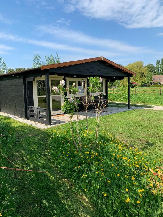 Zwaanshoek Fields 1216 B&B 외부 사진