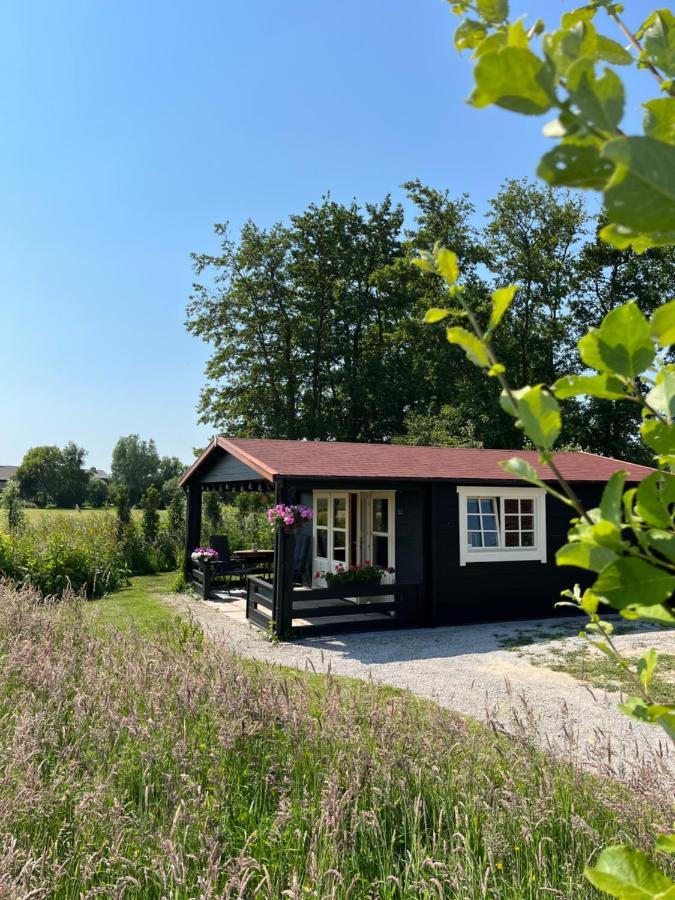 Zwaanshoek Fields 1216 B&B 외부 사진