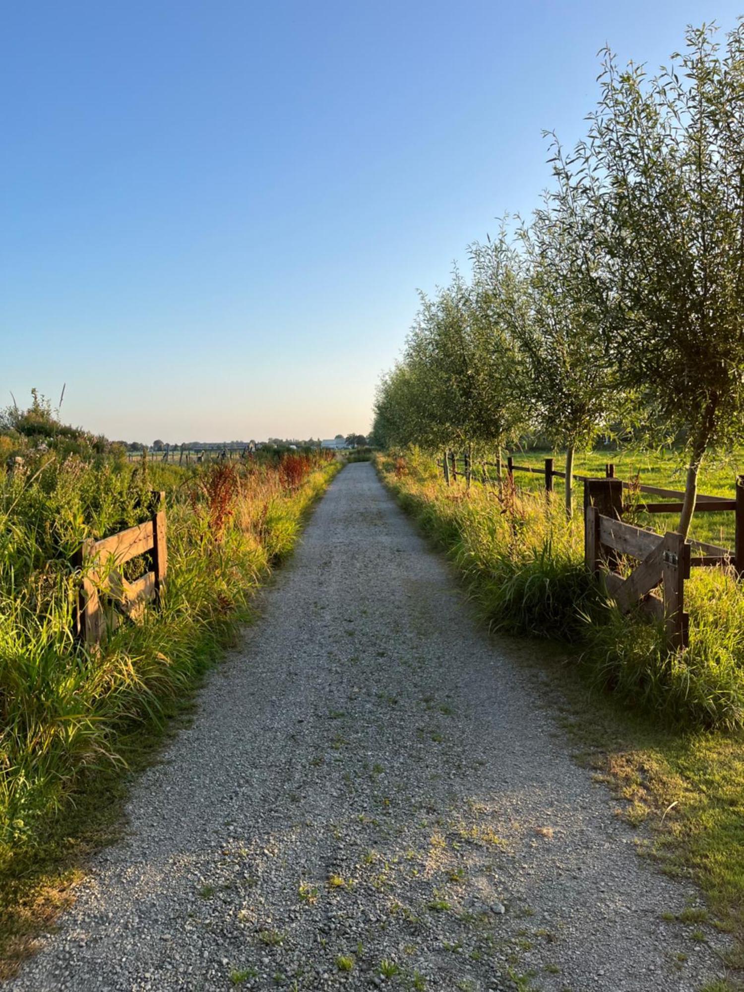 Zwaanshoek Fields 1216 B&B 외부 사진